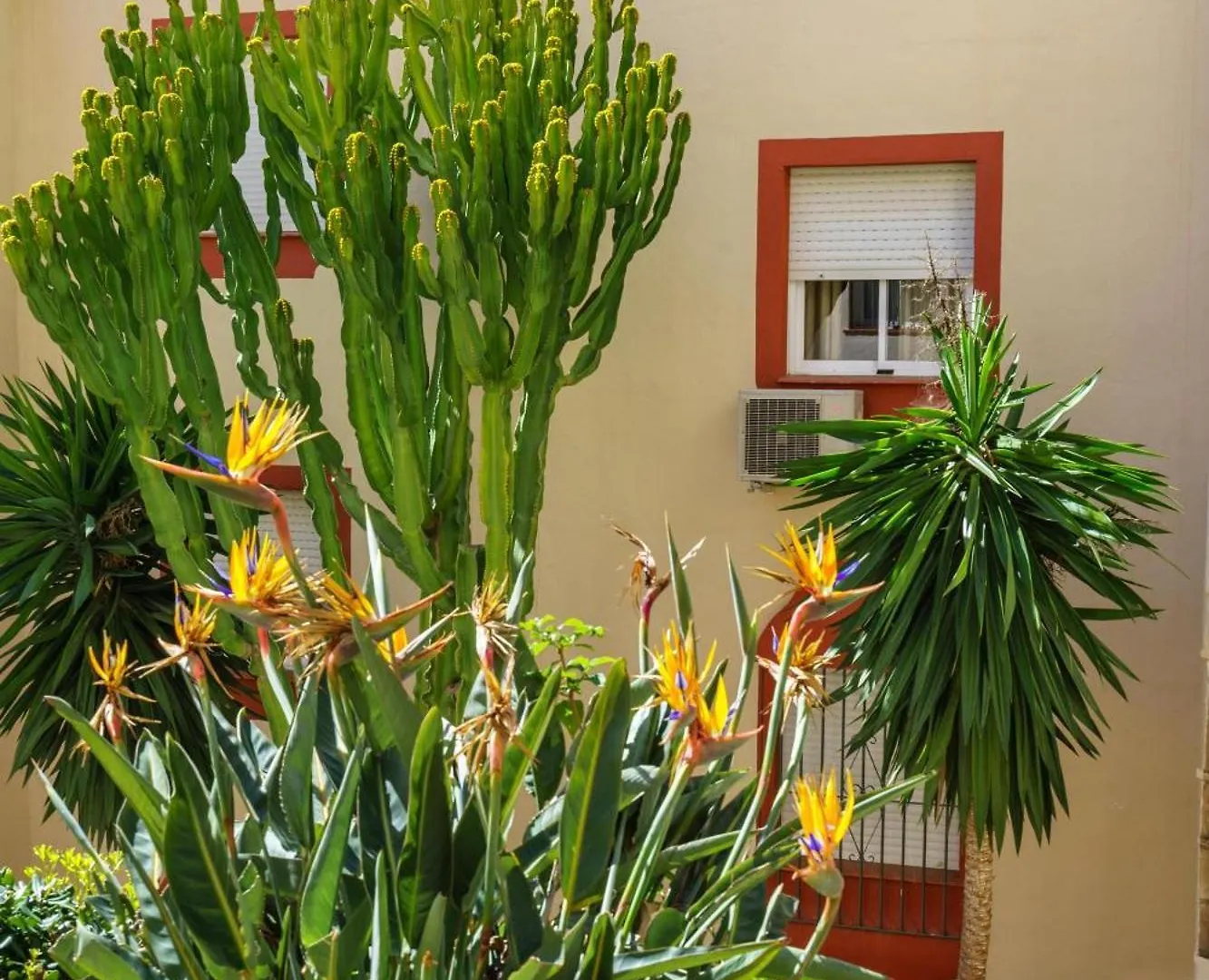 Appartamento Riviera Charm: 2Br Retreat With Terrace Pool Mijas 0*,